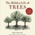 The Hidden Life of Trees